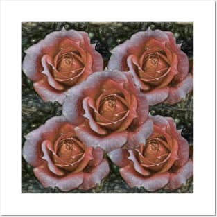 Peach rose art Posters and Art